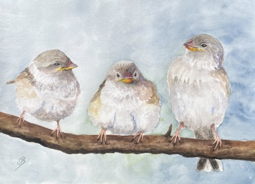 Postkarte DIN-A6  Aquarell Kunst Druck Kunstdruck Spatz Vogel Frühling Vögel Ast Spatzen